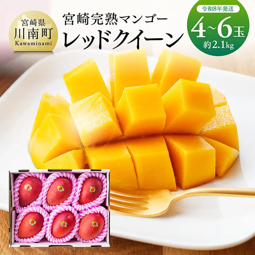 【令和8年発送】宮崎県産完熟マンゴー　「レッドクイーン」4～6玉 【 果物 フルーツ マンゴー 宮崎県産 完熟マンゴー みやざきマンゴー 先行予約 数量限定 期間限定 】