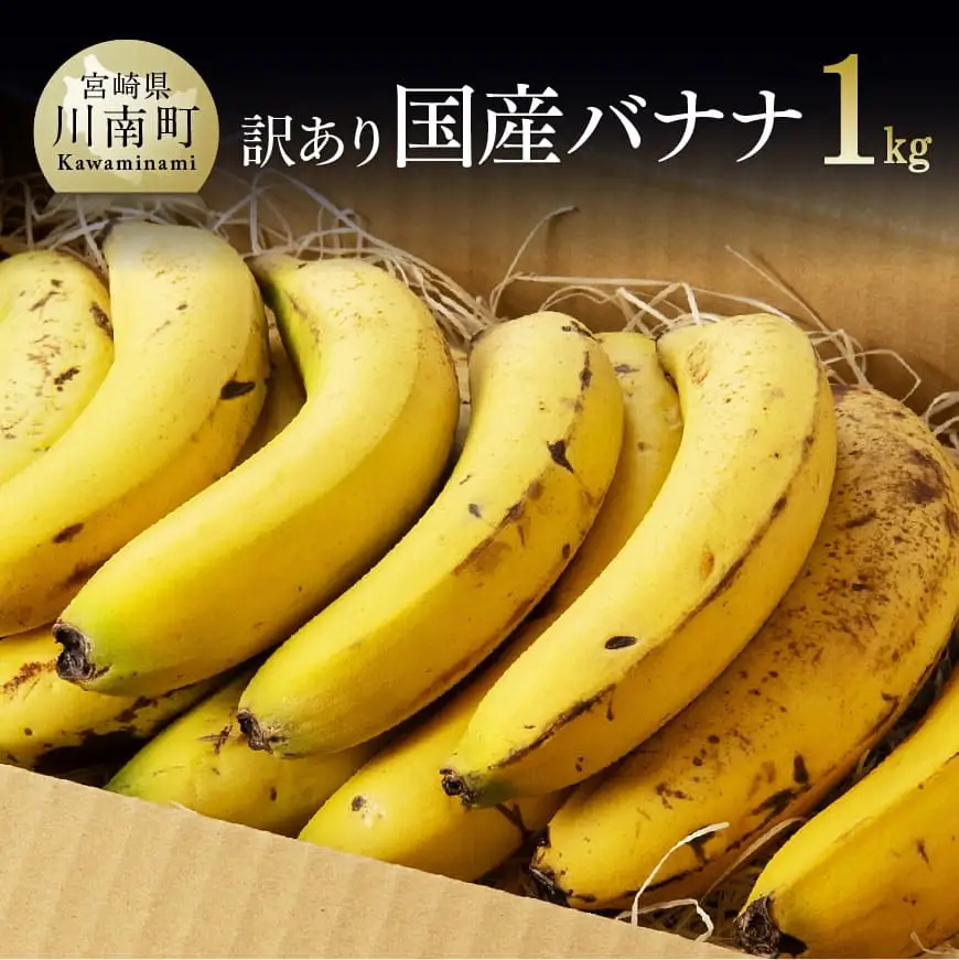 【訳あり】国産バナナ1kg（10本～13本程度）【国産 バナナ 無農薬 フルーツ 果物 デザート 朝食 スムージー 訳あり バナナ】