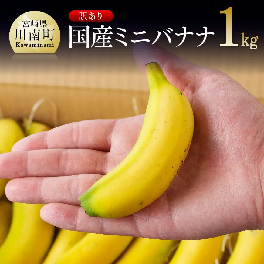 【訳あり】国産ミニバナナ1kg【国産 バナナ 無農薬 フルーツ 果物 デザート 朝食 スムージー 訳ありバナナ】