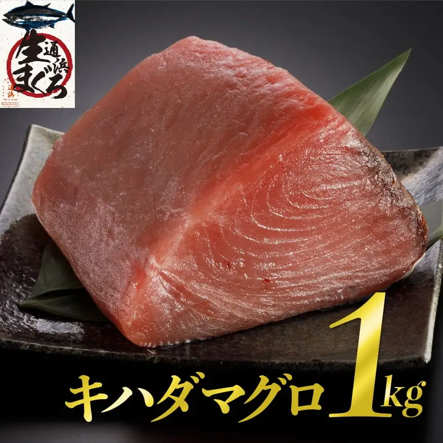 漁協直送！キハダマグロブロック（生）1kg 【 鮪 刺身 マグロ 漬け 新鮮 冷蔵 海の幸 】