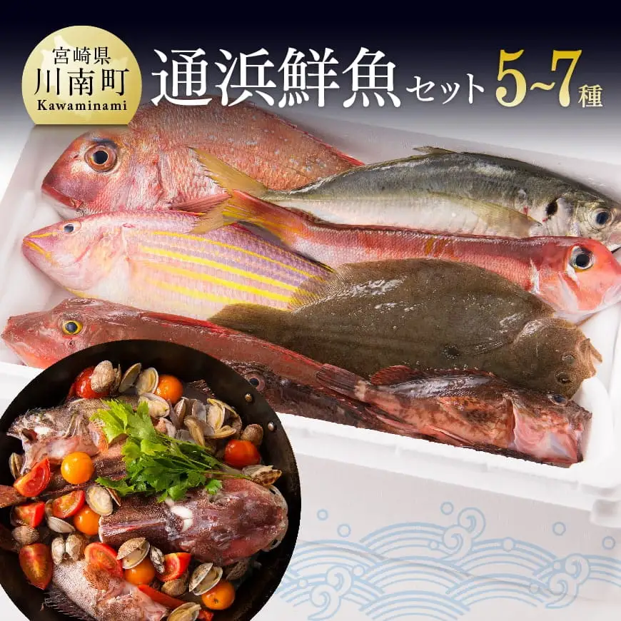 『日向灘海の幸』通浜鮮魚セット 【 鮮魚 魚介 セット 新鮮 漁協直送 刺身 海の幸 魚介類 】