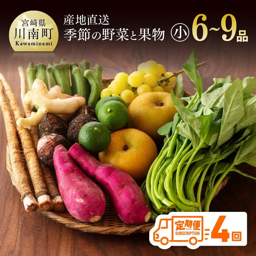 【定期便】産直おすず村 季節の野菜と果物 厳選 詰め合わせセット（小） 【 旬野菜 フルーツ 直売所 産地直送 宮崎県産 】