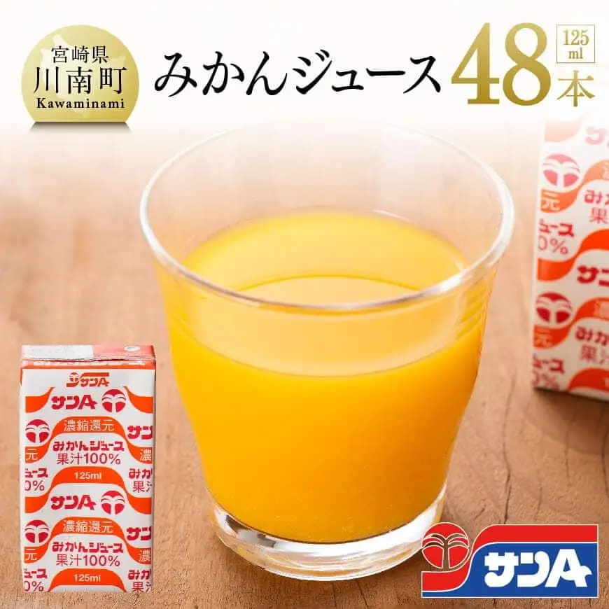 サンA みかんジュース 100% 125ml 紙パック 24本入り×2ケース 飲料 みかん ミカン 紙パック