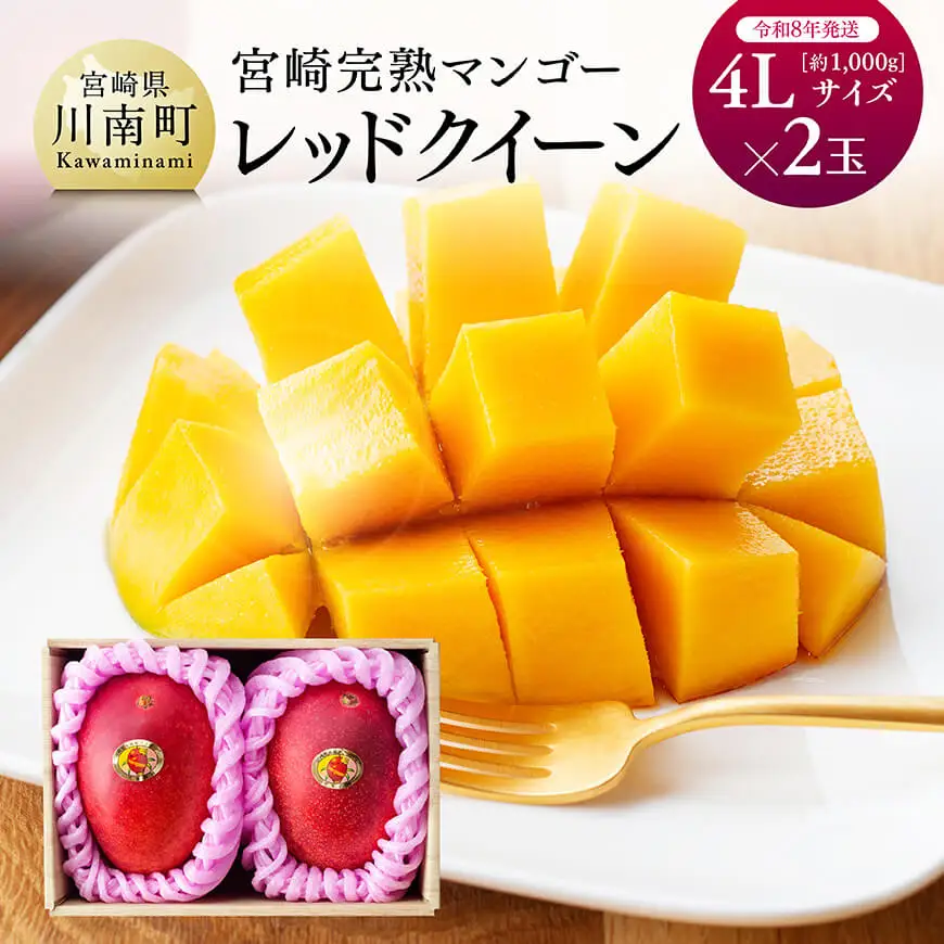 【令和8年発送】宮崎県産完熟マンゴー「レッドクイーン」4L×2玉 果物 マンゴー