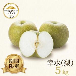 【 JA 北つくば 】 筑西ブランド 認証品 幸水 5kg 2026年産 先行予約