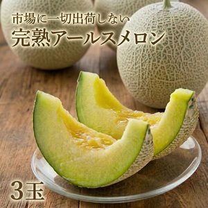 完熟 アールスメロン 3玉