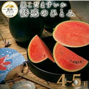 【 JA北つくば 】 黒こだますいか 「 誘惑のひとみ 」 4~5玉