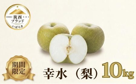 【 JA 北つくば 】 筑西ブランド 認証品 幸水 10kg 2026年産 先行予約