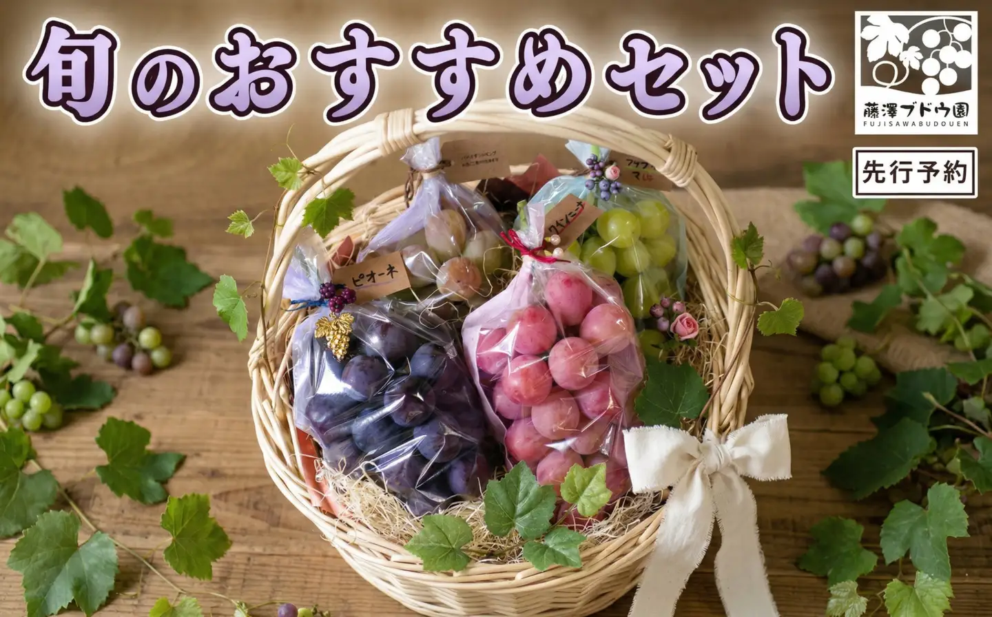 【 藤澤ブドウ園 】 旬 の おすすめ セット 約2.5kg 2026年産 先行予約