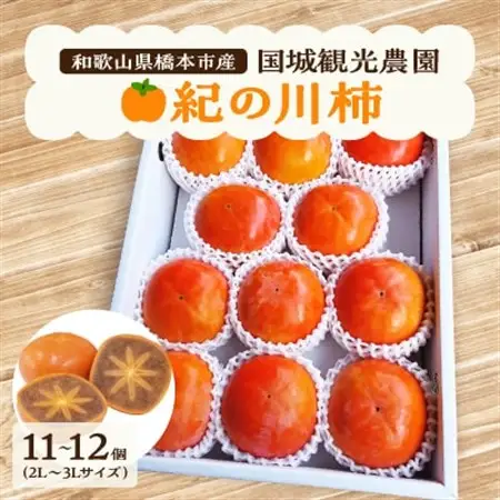 【2026年度発送分】国城観光農園の紀の川柿11～12個(2L～3Lサイズ)_柿　紀の川柿　橋本市産柿　渋柿_【1077105】