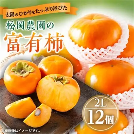 【先行予約:2026年配送】太陽の光をたっぷり浴びた松岡農園の富有柿(2L　12個)_果物・フルーツ 柿（カキ）  かき_【1090793】