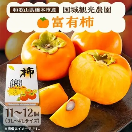 国城観光農園の富有柿11～12個(3～4L)_柿　富有柿　橋本市産柿　甘柿_【1077106】