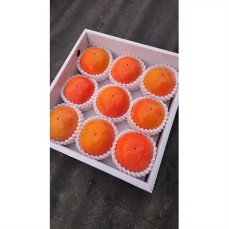 国城観光農園の富有柿9個入り(2Lサイズ)_柿　富有柿　橋本市産柿　甘柿_【1087791】