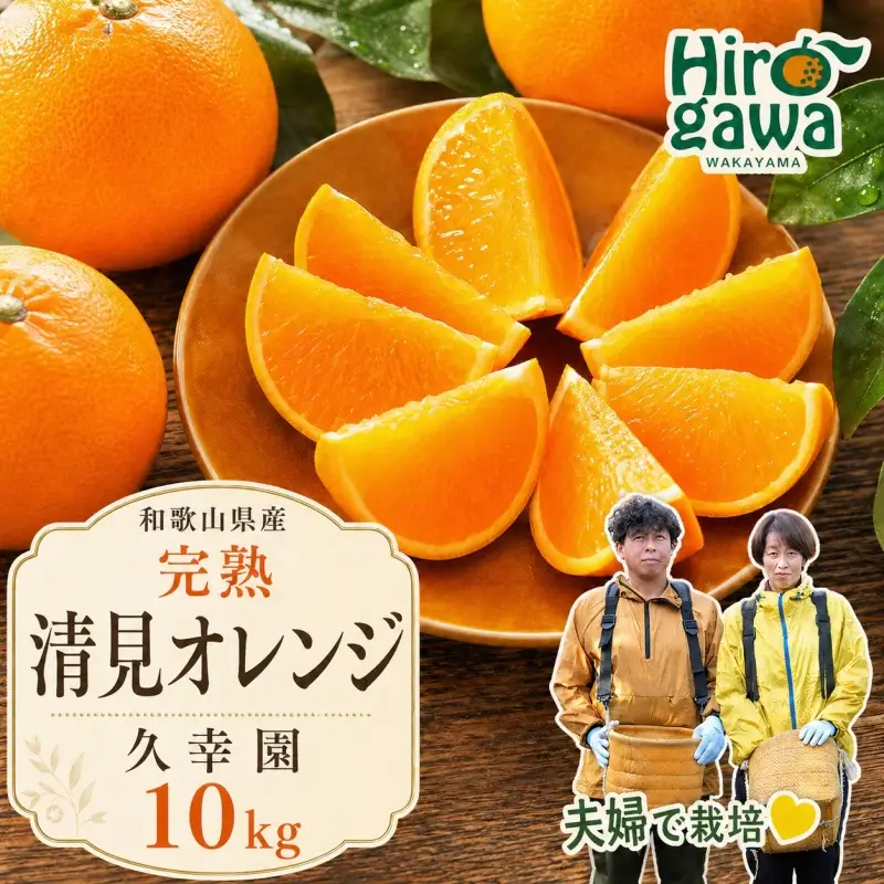 完熟 清見 オレンジ 10kg 久幸園 / 清見オレンジ 清見タンゴール きよみ 清美 甘い 高級 和歌山 柑橘 ※2027年4月上旬～5月上旬に順次発送 【hsk011-r-10B】