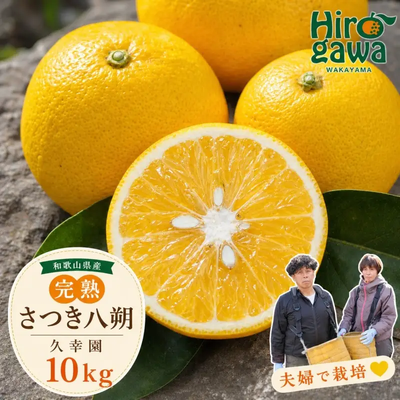 完熟 さつき 八朔 10kg / はっさく 甘い 和歌山 柑橘 ※2027年4月上旬～5月上旬頃に順次発送予定【hsk022-r-10】