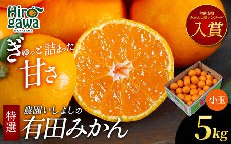 有田 みかん 小玉 5kg 【 創業120年 農家直送 】 / 温州みかん 有田みかん 甘い 小粒 和歌山 柑橘 ※2026年11月中旬～2027年1月下旬に順次発送  【isy004-s-5A】