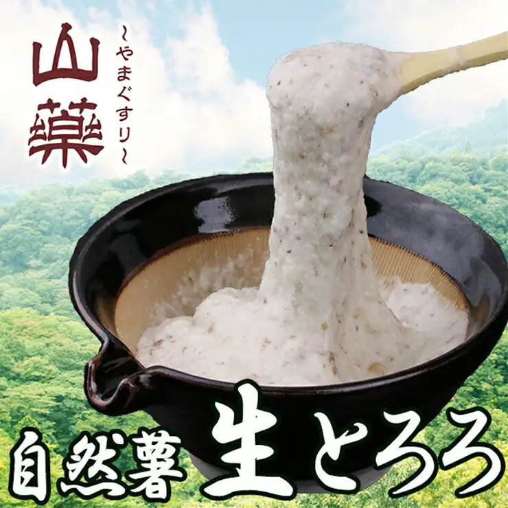 自然薯の味をお楽しみください。自然薯生とろろ100ｇ×５ｐセット【とろろ 極上とろろ 山芋 箱根 お家用 家庭用 国産 セット商品 自然薯 味付とろろ 神奈川県 小田原市 とろろ】