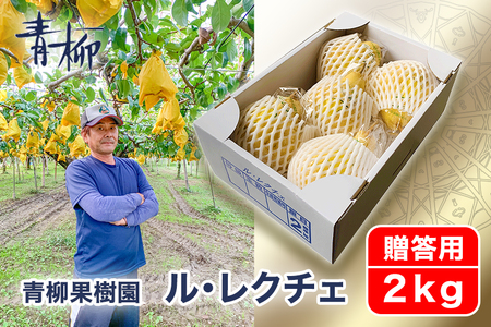 【2026年先行予約】新潟特産 幻の洋梨ル・レクチェ 贈答用 2kg（5～7玉）《11月下旬～順次発送》