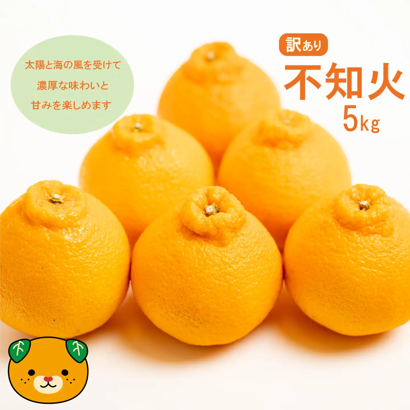 【先行予約】訳あり 減農薬 不知火 5kg 愛南フルーツ 【2027年3月下旬～発送開始】