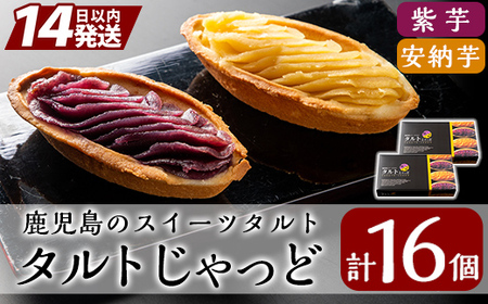 A0-252 鹿児島のスイーツタルト・タルトじゃっど(各8個入×2箱・計16個