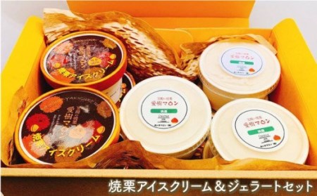 焼栗 アイス クリーム ＆ ジェラート セット AQ-001