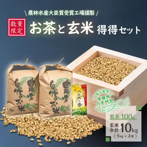 【数量限定】令和7年産 コシヒカリ 10kg 玄米 煎茶 セット