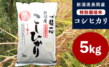 48-7N051新潟県長岡産特別栽培米コシヒカリ5kg