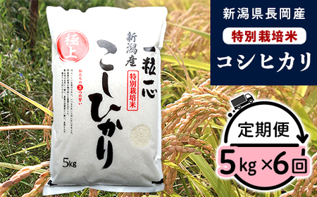 48-7N056【6ヶ月連続お届け】新潟県長岡産特別栽培米コシヒカリ5kg