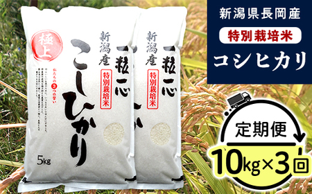48-7N103【3ヶ月連続お届け】新潟県長岡産特別栽培米コシヒカリ10kg