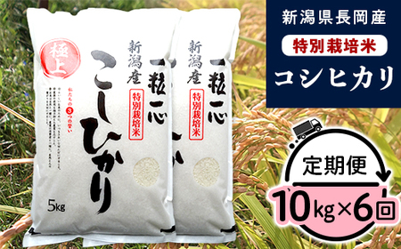 48-7N106【6ヶ月連続お届け】新潟県長岡産特別栽培米コシヒカリ10kg