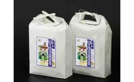 【令和7年産】西尾のお米10kg(こしひかり5kg×2)・K195-29