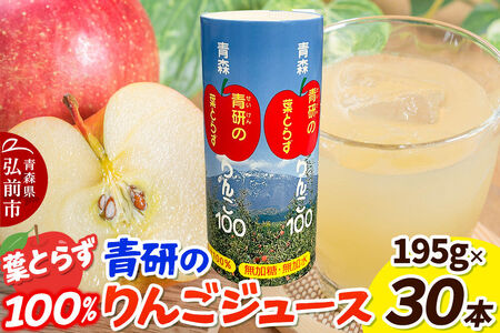  青研りんごジュース【葉とらずりんご100】195g 30本入 1箱 セット カートカン りんご リンゴ 林檎 ジュース りんごジュース リンゴジュース 飲み物 飲料 果実飲料 フルーツ 果物 くだもの ドリンク 弘前 弘前市産 青森りんご 青森