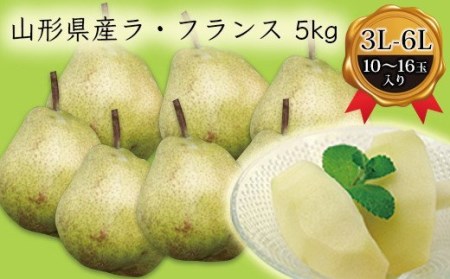 《先行予約 2026年度発送》山形県産ラ・フランス5kg（10～16玉 3L～6L） なし ナシ 梨 デザート フルーツ 果物 くだもの 果実 食品 山形県 FSY-0382