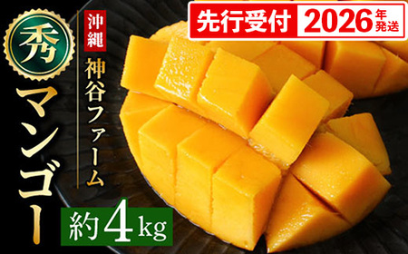 【化粧箱入】【先行受付・2026年発送】神谷ファームのマンゴー（秀）約4kg - 先行予約 沖縄県産 産地直送 南国フルーツ 旬の味覚 季節の果物 贈り物 ギフト 沖縄県 八重瀬町