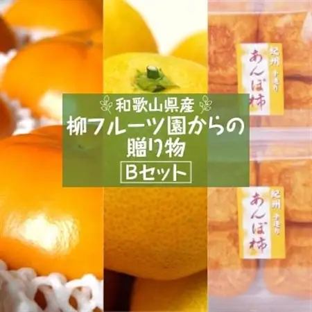 【先行受付】柳フルーツ園からの贈り物 Bセット_果物・フルーツ みかん  ミカン 蜜柑  果物・フルーツ 柿（カキ）  かき  果物・フルーツ 干し柿 ドライフルーツ ほしがき ホシガキ_【1143954】