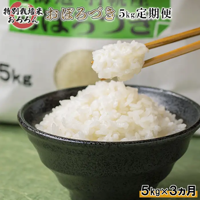 【2025年産】 【定期便：3回】 北海道羽幌産 特別栽培米 おぼろづき5kg【0812602】