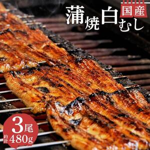 国産鰻 蒲焼 白むし 計480g うなぎ 鰻