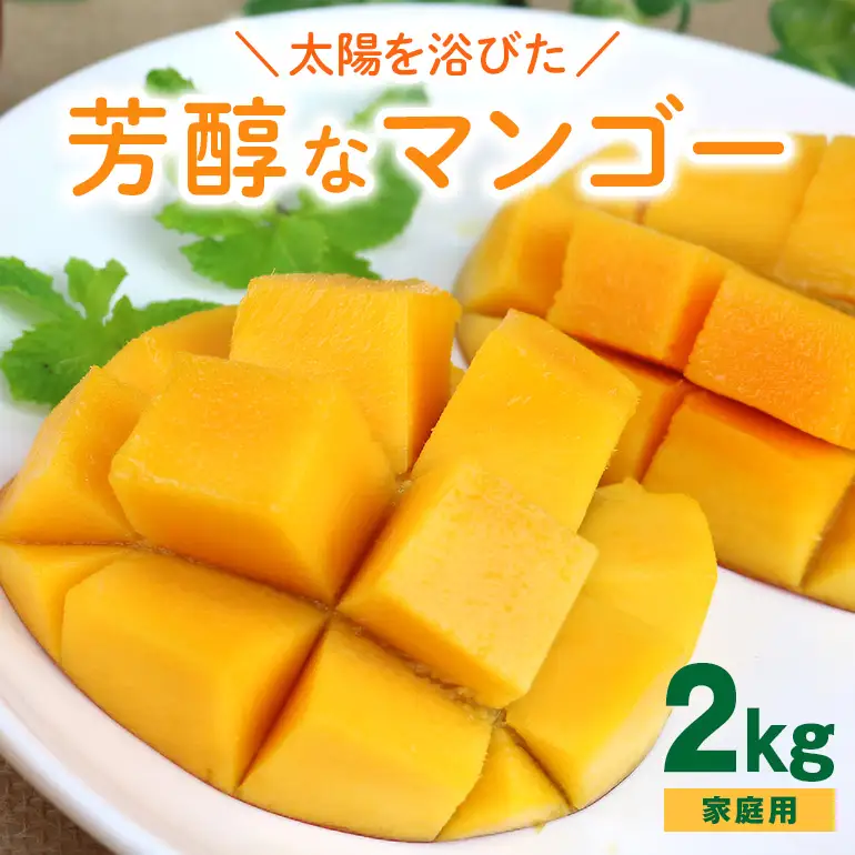 【 先行予約 2026年 発送】 沖縄の太陽を浴びた芳醇なマンゴー 2kg ( ご家庭用 ) 沖縄県産 マンゴー アップルマンゴー アーウィンマンゴー 国産 完熟マンゴー 果物 南国 くだもの フルーツ 完熟 夏 旬 沖縄 お取り寄せ 産地直送 農家直送 糸満市 90-1