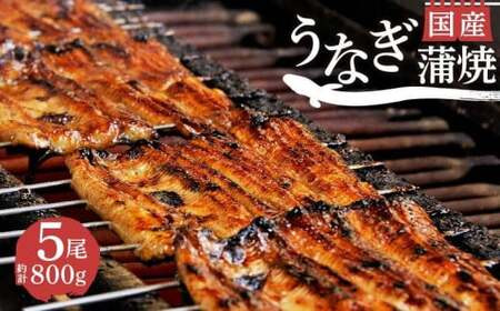 国産鰻蒲焼 5尾 計800g うなぎ 鰻
