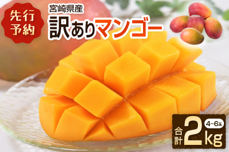 ［訳あり］宮崎県産マンゴー《家庭用》2kg以上（4～6玉）新富町産 完熟 フルーツ 果物【C217-26】