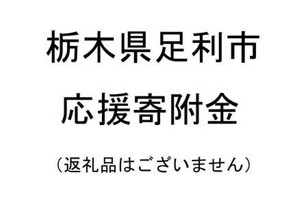 【返礼品なし】栃木県足利市応援寄附金 2,000円 F7Z-B002