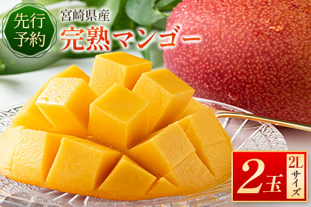 ＜先行予約＞宮崎県産 完熟マンゴー 2L×2玉 数量限定 人気 フルーツ 果物 ギフト【B510-26】