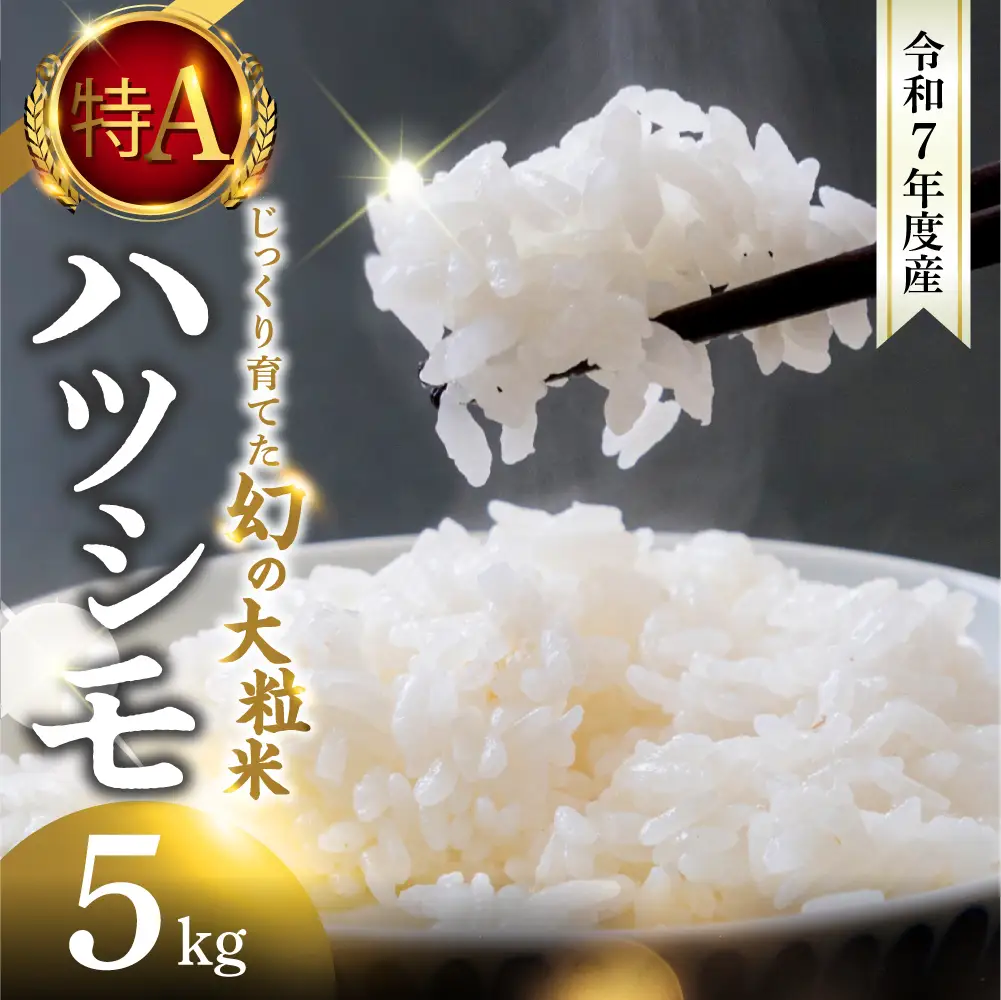 【令和7年度産】精米 ハツシモ 5kg｜ハツシモ