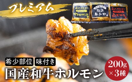 プレミアムホルモン セット 3種 詰め合わせ 計600g 牛ホルモン 白トロ ギアラ サンドミノ ギアラ芯 味付きホルモン 焼くだけ絶品 とろける脂 簡単調理[Q793x]