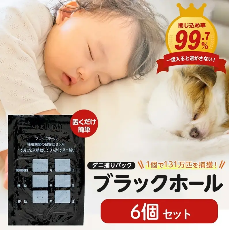 ダニ捕り パック ブラックホール 6個入 ダニ ダニ取り ダニシート