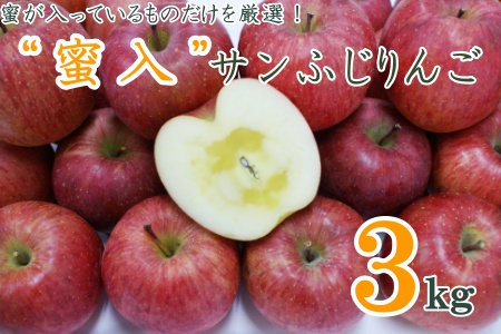 【2026年発送】蜜入りだけ厳選！蜜入サンふじりんご3kg_H126(R8)