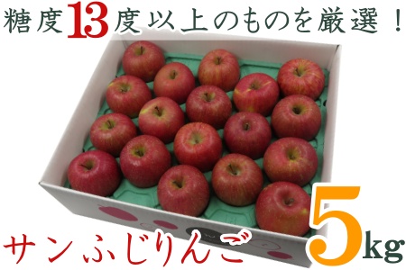 【2026年発送】糖度13度以上厳選！サンふじりんご5kg_H127(R8)