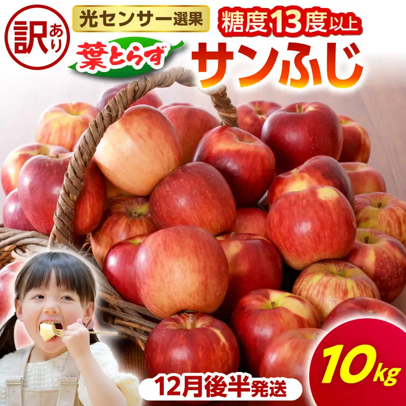【2026年12月後半発送】【訳あり】 りんご 葉とらずサンふじ 約10kg 青森県産 サンふじ