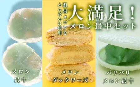 メロン最中セット[A]　 【 お菓子 スイーツ デザート 】