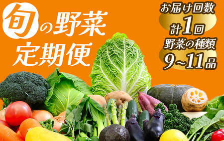 旬の野菜セット　【 野菜 】